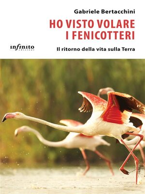 cover image of Ho visto volare i fenicotteri